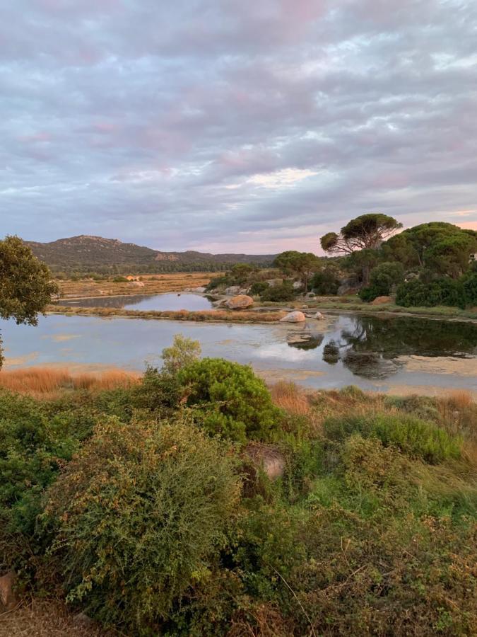 F2 Salines De Vecchio * Porto-Vecchio (Corsica)